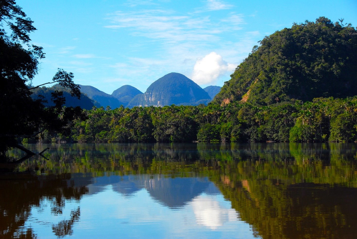 Cordillera Azul National Park REDD+ Project - Perù