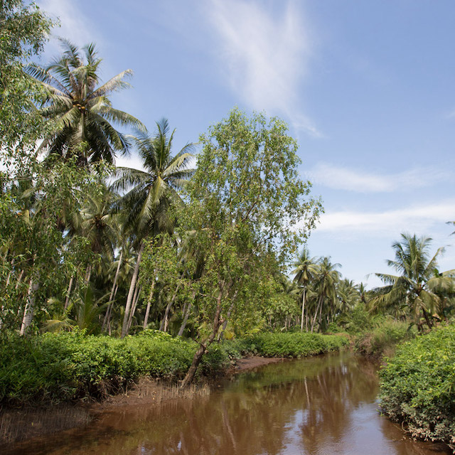 Katingan Peatland Restoration and Conservation Project