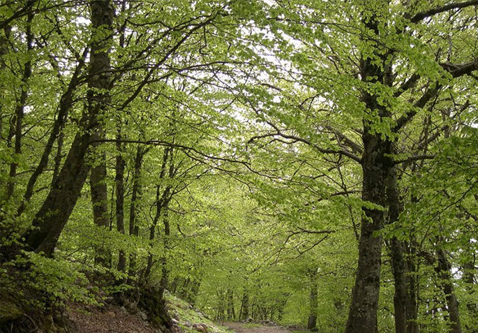 Parco delle Madonie (PA)